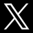 x icon
